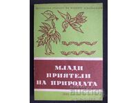 Young friends of nature