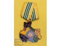 Chinese Medal - Unification with Tibet