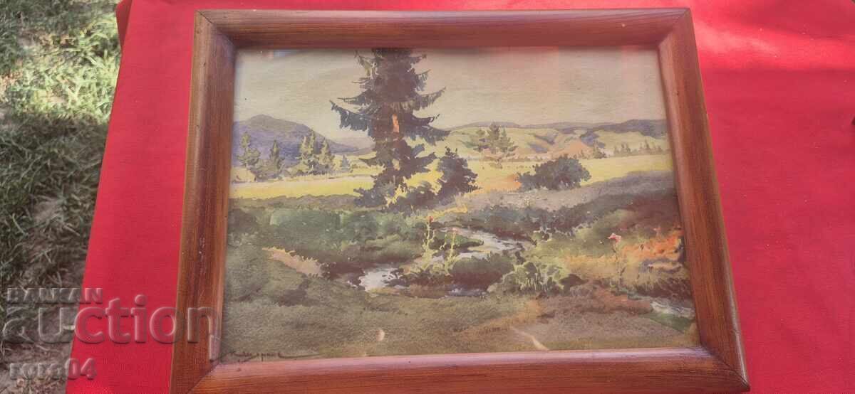 CONSTANTIN ȘTÂRCĂ - REPRODUCERE - ÎNAINTE DE 1944