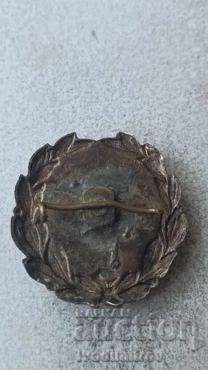 Значка Съюз на българо-съветските дружества с цена 17.65 лв. | € 9.02 Значка Съюз на българо-съветските дружества с цена 17.65 лв. | € 9.02