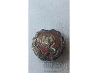 Значка Съюз на българо-съветските дружества