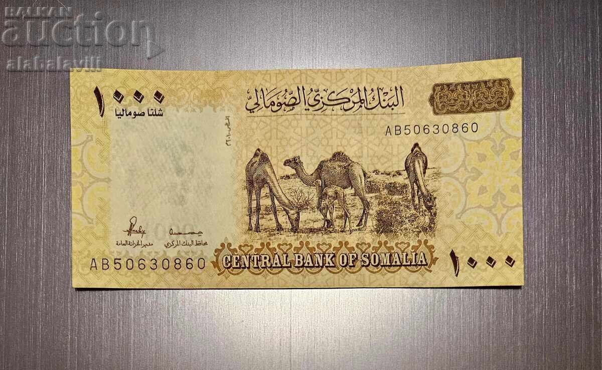 Auction  Somalia set 1,000 to 50,000 shillings