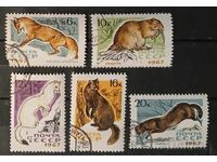 Σοβιετική Ένωση 1967 Φαύνα