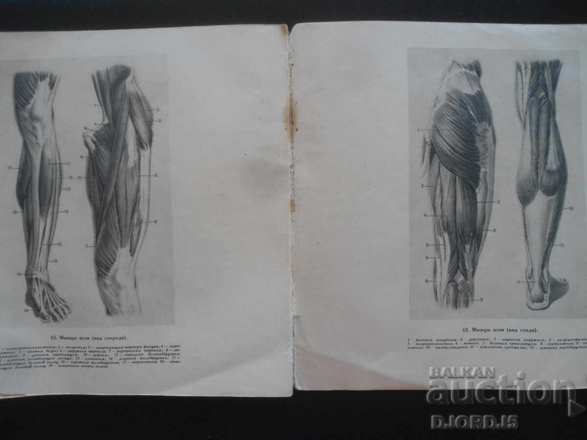 For the Beginning Artist - 6 For the Beginning Artist - 6