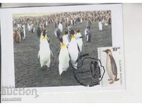 Postcard MAX ANTARCTIC FAUNA PENGUINS