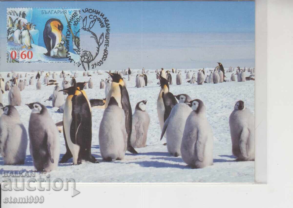 Postcard MAX ANTARCTIC FAUNA GLACIERS