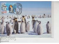 Postcard MAX ANTARCTIC FAUNA GLACIERS