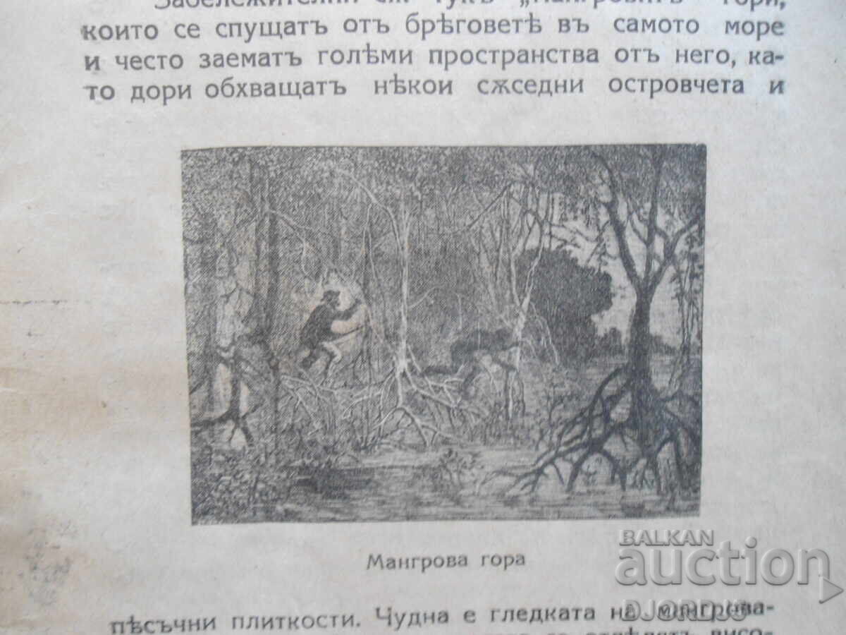 Παράδοση ΑΥΣΤΡΑΛΙΑ - η χώρα του μαλλιού και του χρυσού, Στέφαν Στράνσκι