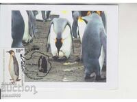 Carte poștală MAX FAUNĂ ANTARCTICĂ PINGUINI