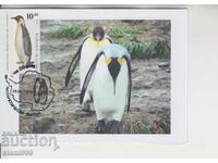 Carte poștală MAX FAUNĂ ANTARCTICĂ PINGUINI