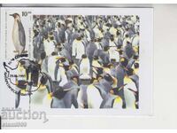 Postcard MAX ANTARCTIC FAUNA PENGUINS