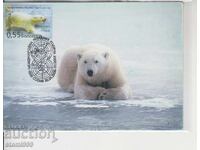 Postcard MAX ANTARCTICA FAUNA