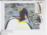 Postcard MAX ANTARCTICA FAUNA