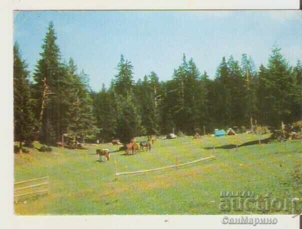 Картичка България Рила Паничище Изглед 1** Картичка България Рила Паничище Изглед 1**