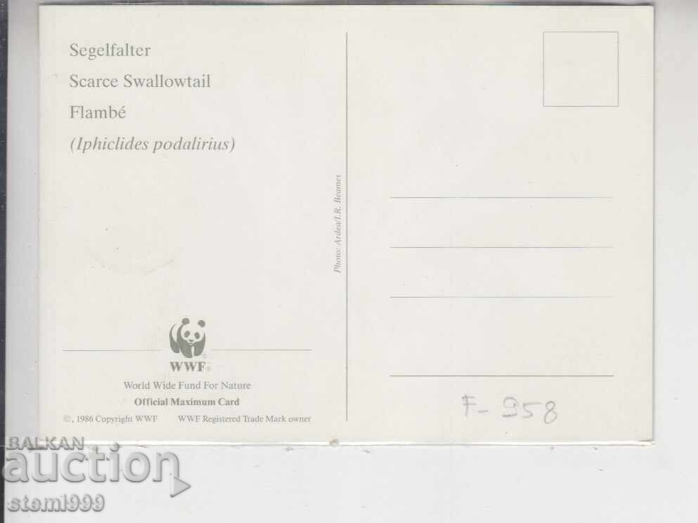 Postcard MAX BUTTERFLIES INSECTS with price 1.40 BGN | € 0.72 Postcard MAX BUTTERFLIES INSECTS with price 1.40 BGN | € 0.72