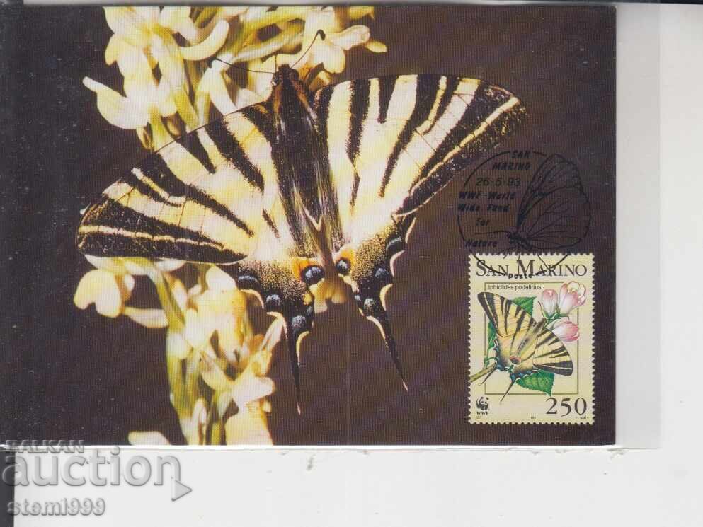 Postcard MAX BUTTERFLIES INSECTS Postcard MAX BUTTERFLIES INSECTS