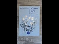 Σταθμός Τάνιο Κλισούροφ, Νότιος Σταθμός