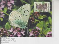 Ταχυδρομική κάρτα ΜΑΧ ΠΕΤΑΛΟΥΔΕΣ ΕΝΤΟΜΑ