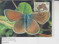 Ταχυδρομική κάρτα ΜΑΧ ΠΕΤΑΛΟΥΔΕΣ ΕΝΤΟΜΑ