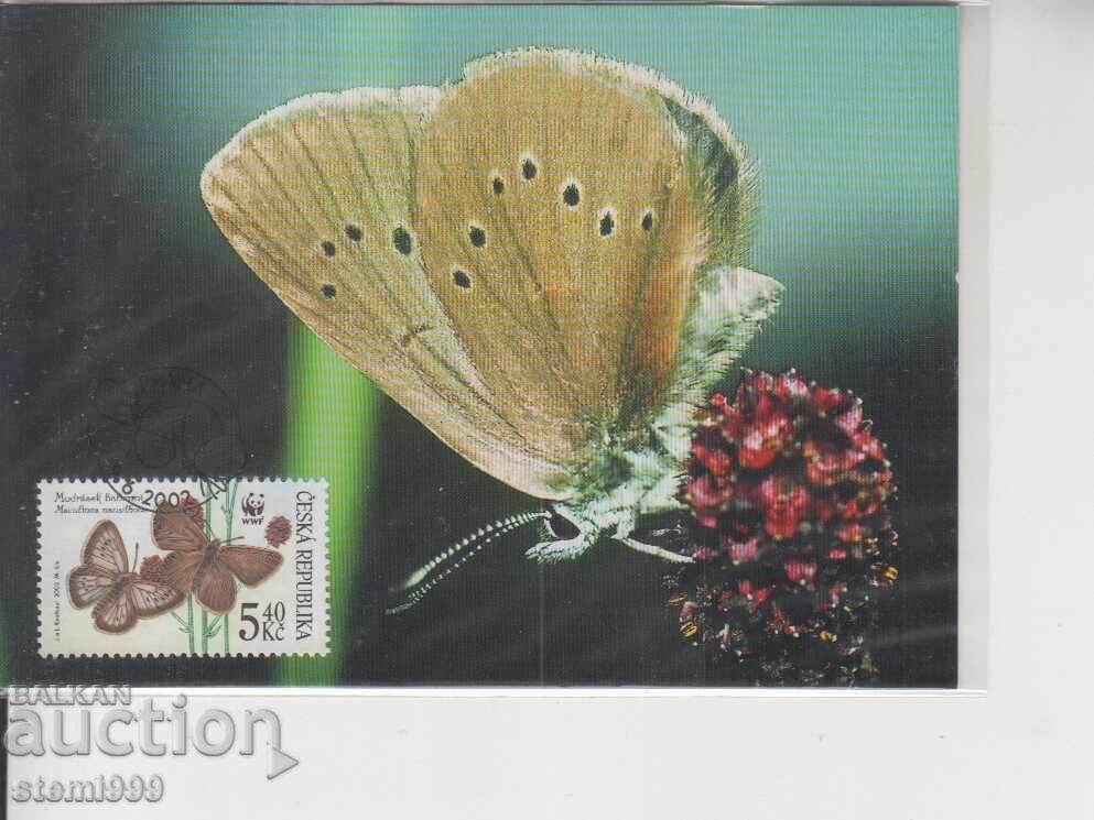 Postcard MAX BUTTERFLIES INSECTS