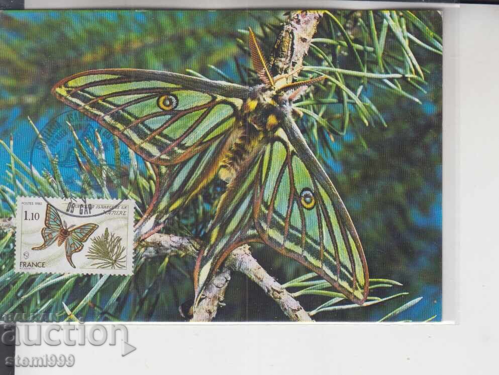 Ταχυδρομική κάρτα ΜΑΧ ΠΕΤΑΛΟΥΔΕΣ ΕΝΤΟΜΑ