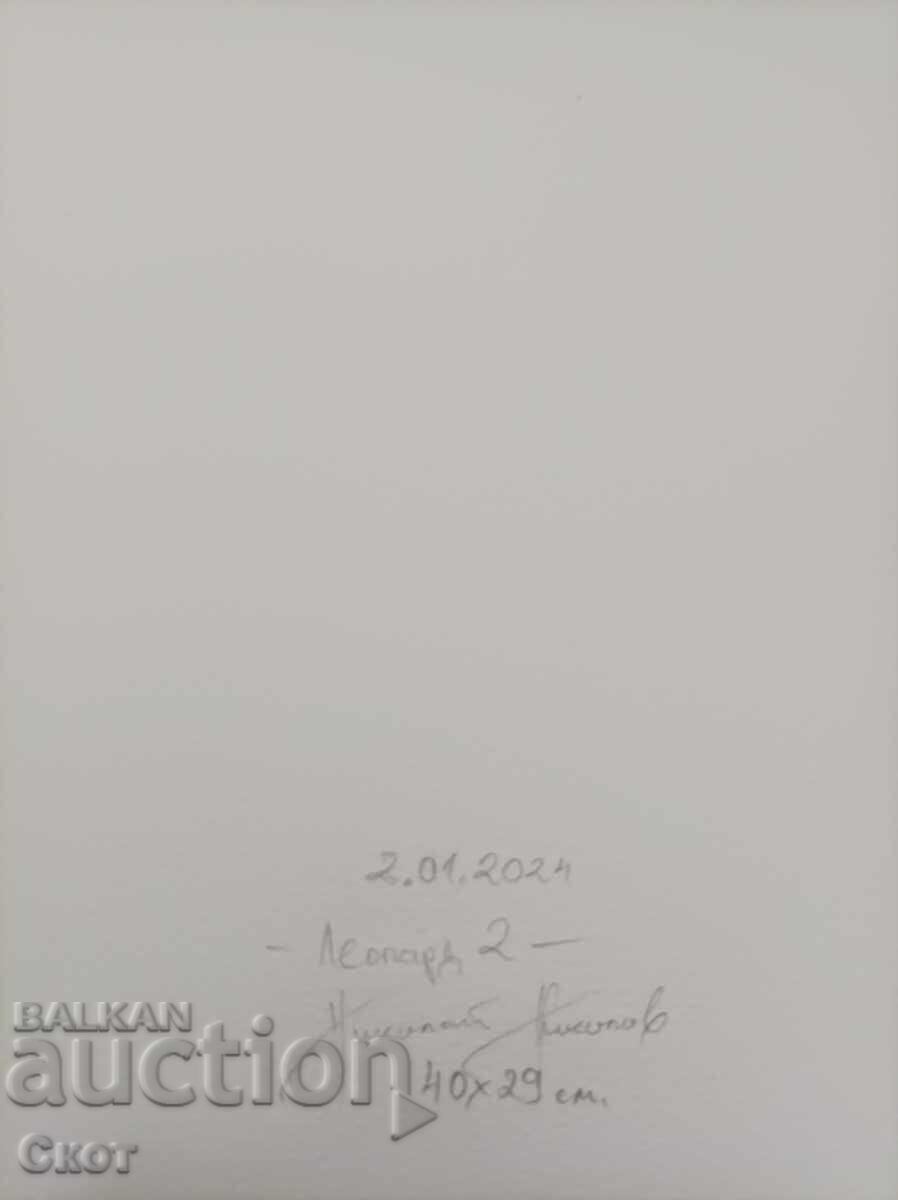 Ink and watercolor drawing with price 68.00 BGN | € 34.77