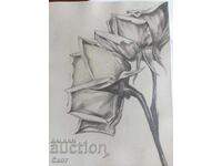 Рисунка с молив