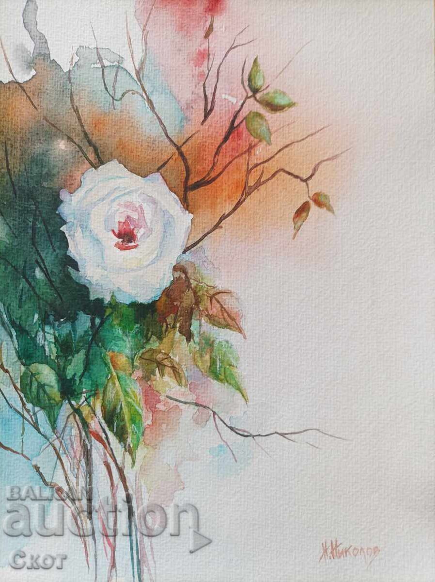 Акварел Акварел