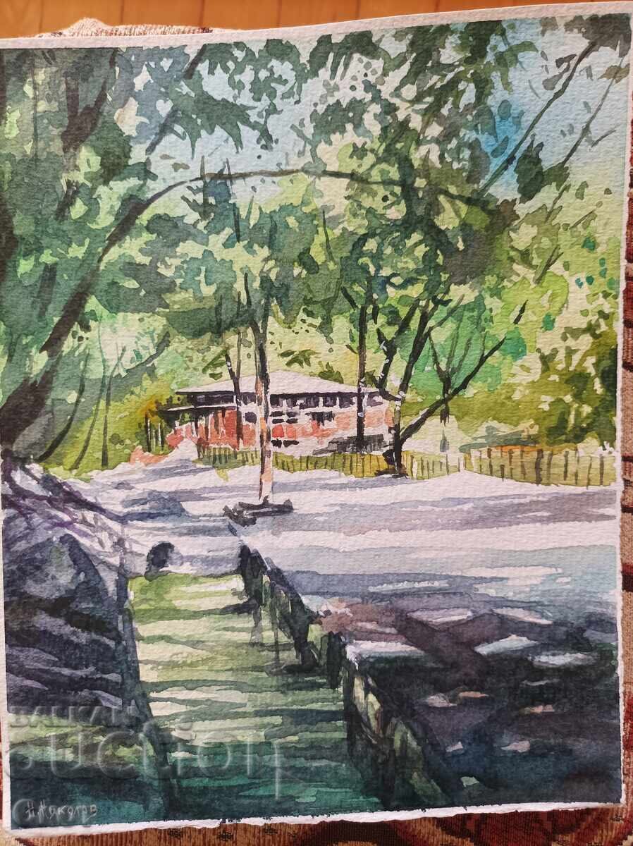 Acuarelă