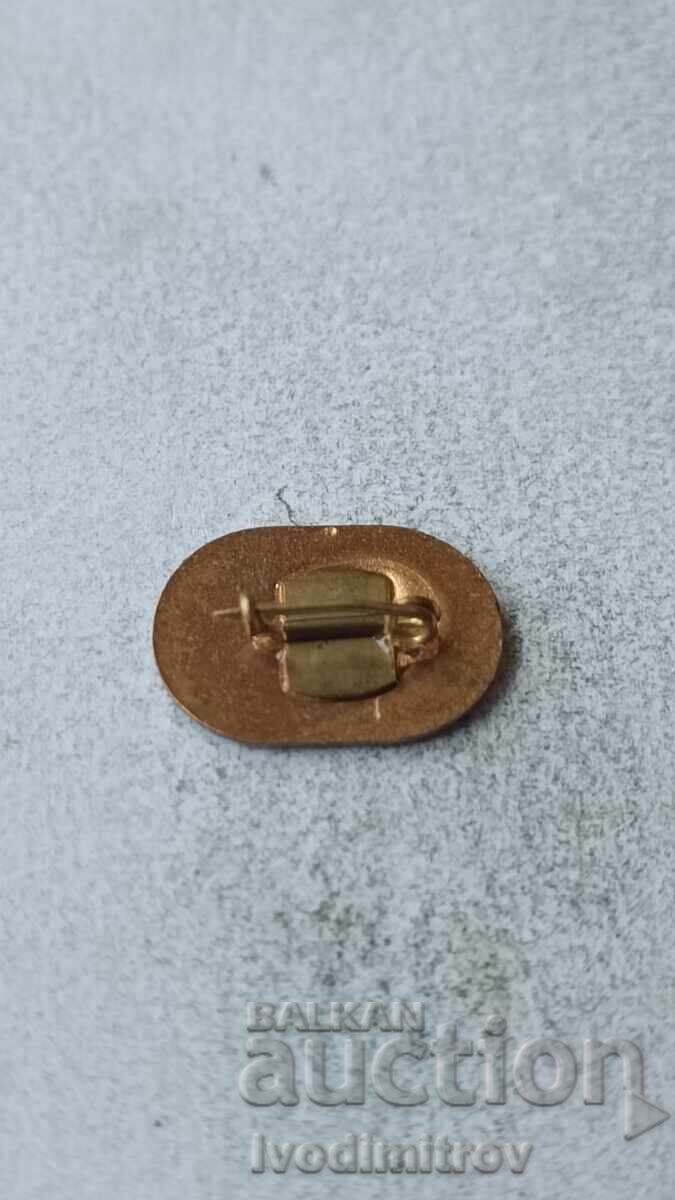 Insigna XXXIII Jocurile Balcanice de Atletism Sofia 74 cu preț 2.85 BGN | € 1.46