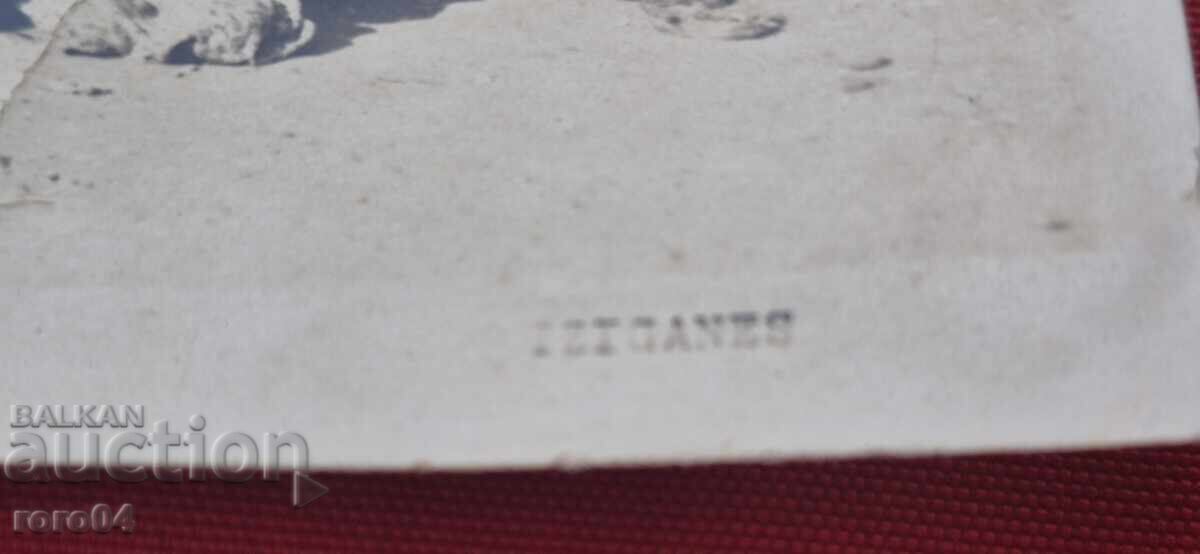 Доставка на ЦИГАНСКО СЕМЕЙСТВО - TZIGANES