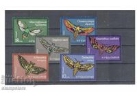 Βραδινές πεταλούδες