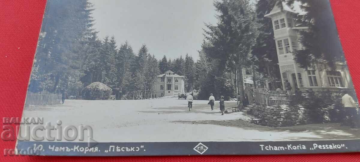 Δημοπρασία CHAMŬ - ΚΟΡΙΑ . ΑΜΜΟΣ