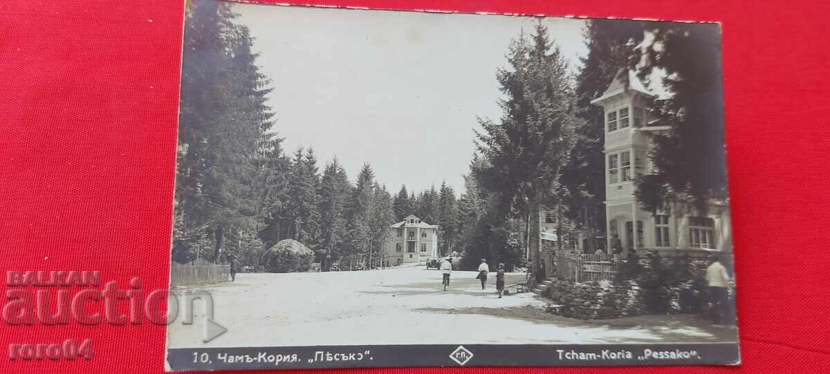 Παράδοση CHAMŬ - ΚΟΡΙΑ . ΑΜΜΟΣ