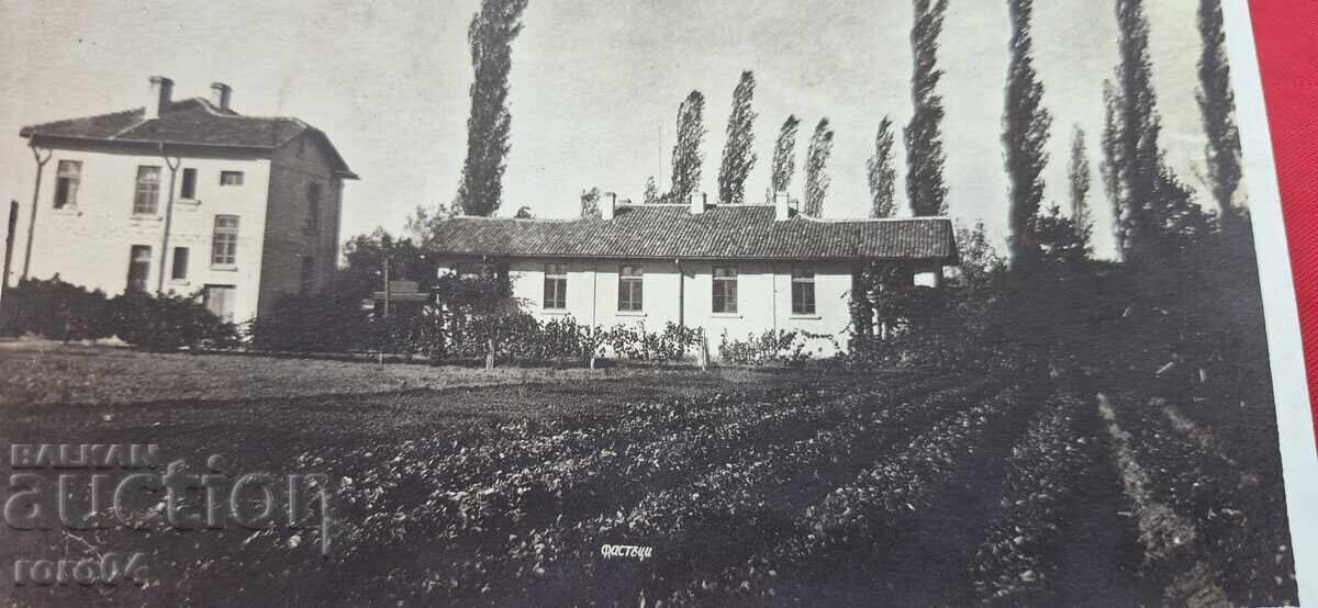 ΦΑΣΤΙΚΙΑ ??? ΦΑΣΤΙΚΙΑ ??? με τιμή € 9.99 | 19.54 BGN