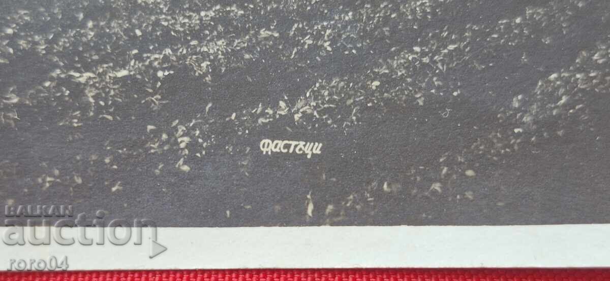 Δημοπρασία ΦΑΣΤΙΚΙΑ ??? ΦΑΣΤΙΚΙΑ ???