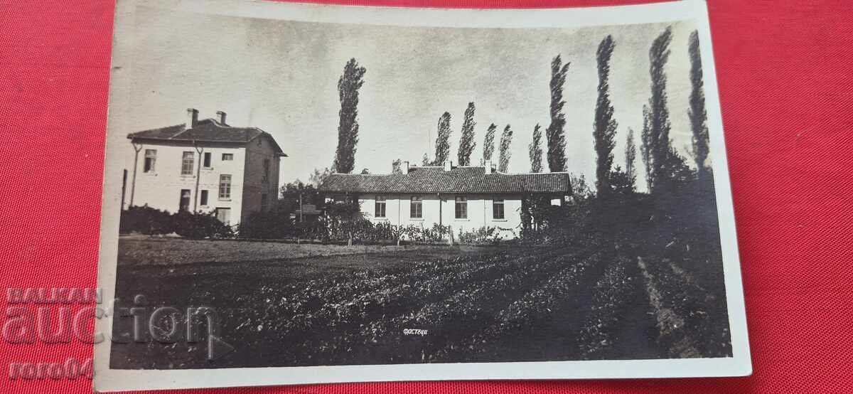 ΦΑΣΤΙΚΙΑ ??? ΦΑΣΤΙΚΙΑ ???