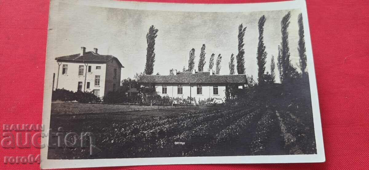 ΦΑΣΤΙΚΙΑ ??? ΦΑΣΤΙΚΙΑ ???