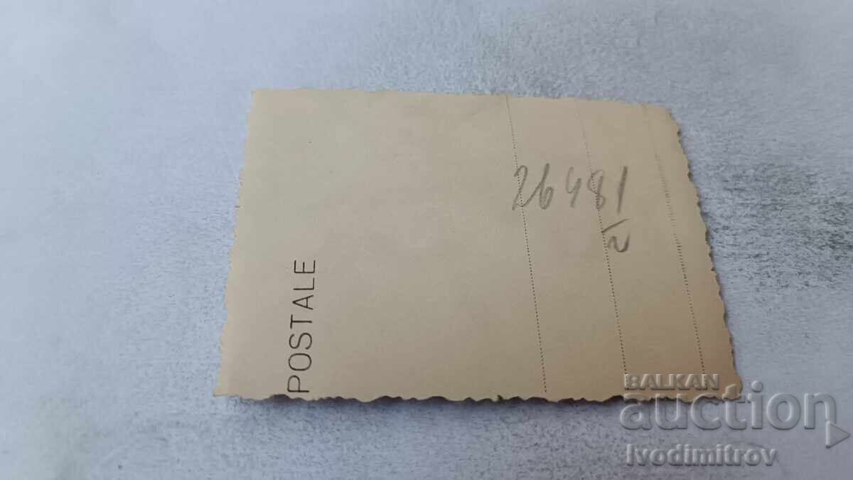 Photo Sofia Two women in winter coats on a walk in winter with price 2.45 BGN | € 1.25