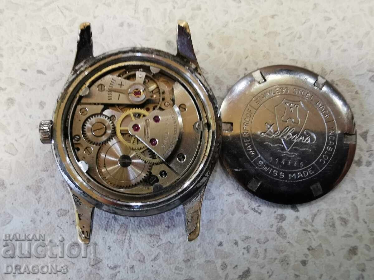 Auction DELBANA Auction DELBANA