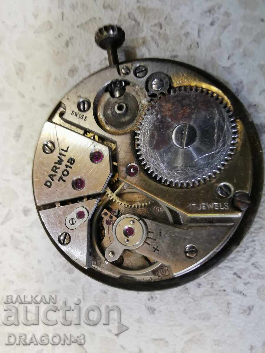 Auction DARWIL Auction DARWIL