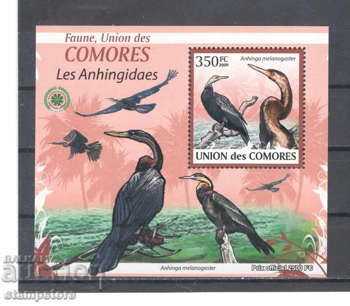 Comoros Islands - Birds Comoros Islands - Birds