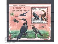 Comoros Islands - Birds