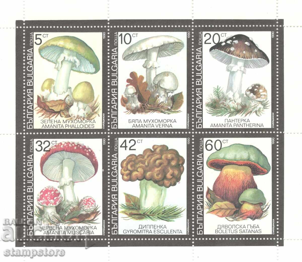 Poisonous Mushrooms Poisonous Mushrooms