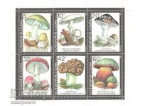 Ciuperci otrăvitoare