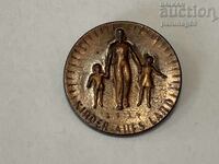 Germania - Al Treilea Reich - INSIGNĂ 1934