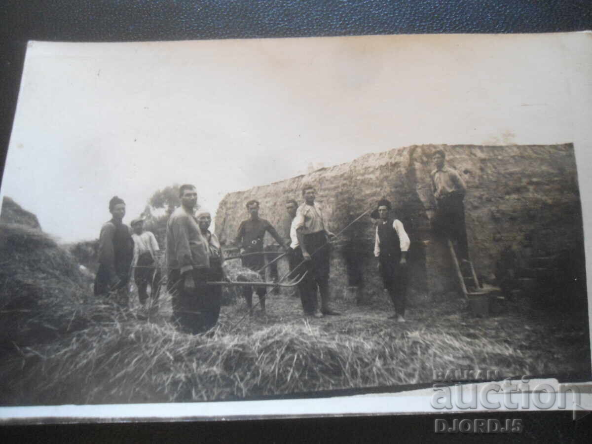 September 8, 1929, D. Naydenov, egg merchant, Sopot, Lovchansko