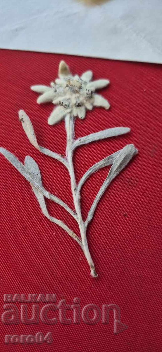 ΕΝΤΕΛΒΑΪΣ - 1 με τιμή 9.99 BGN | € 5.11 ΕΝΤΕΛΒΑΪΣ - 1 με τιμή 9.99 BGN | € 5.11