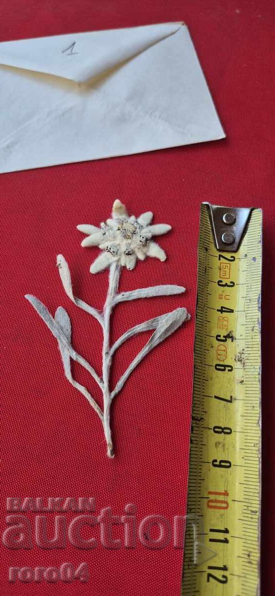 Παράδοση ΕΝΤΕΛΒΑΪΣ - 1 Παράδοση ΕΝΤΕΛΒΑΪΣ - 1