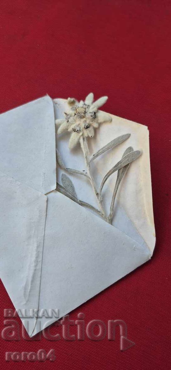 ΕΝΤΕΛΒΑΪΣ - 1 - 5 ΕΝΤΕΛΒΑΪΣ - 1 - 5